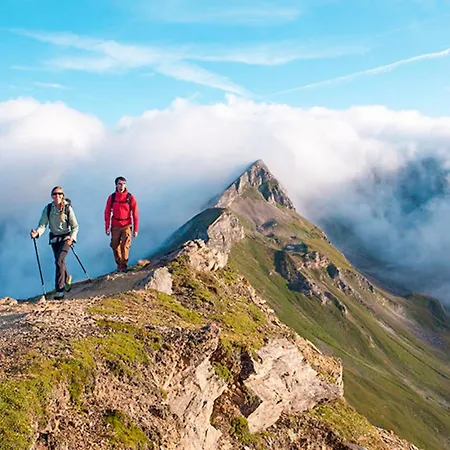 Almhuette Adlerhorst 度假居 海利根布卢特